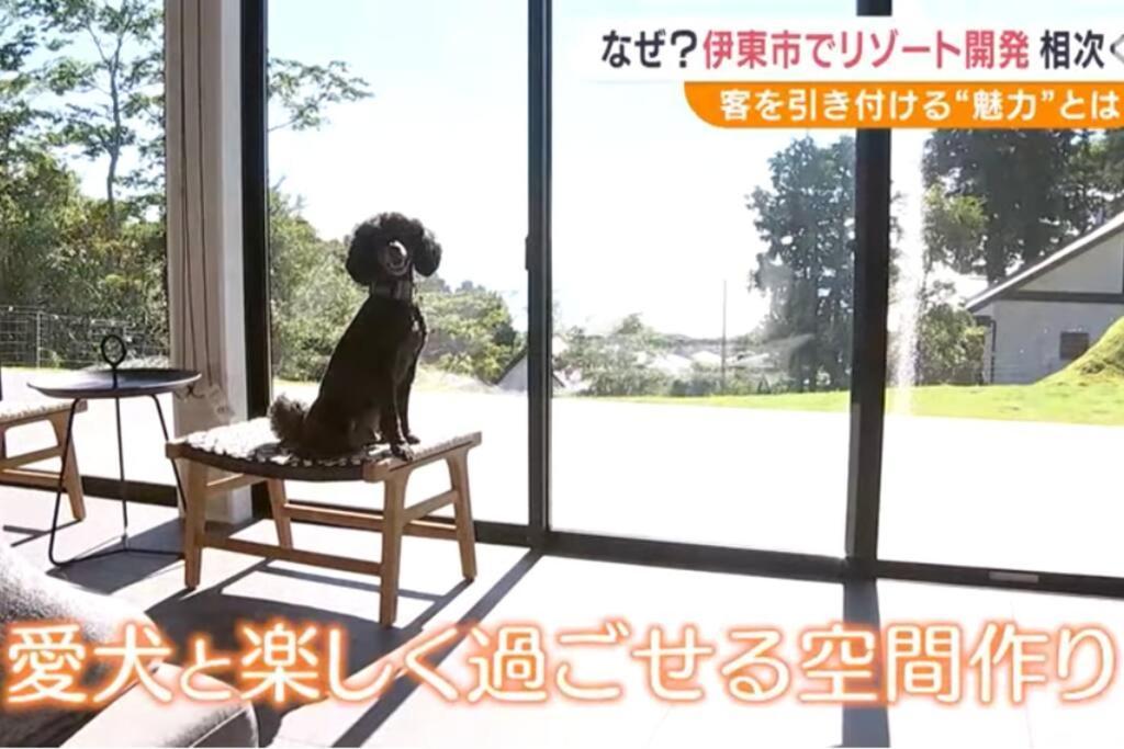 Doggo伊豆　愛犬と過ごす最高の時間の為に造られた貸切宿。温泉、プライベートドッグランで最高の一時を。 Villa Ito  Exterior photo